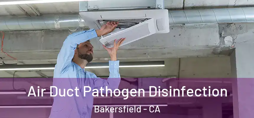  Air Duct Pathogen Disinfection Bakersfield - CA