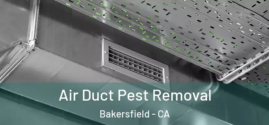  Air Duct Pest Removal Bakersfield - CA