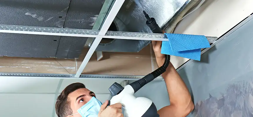 Our Air Duct Rodent Removal Services in Bakersfield, CA