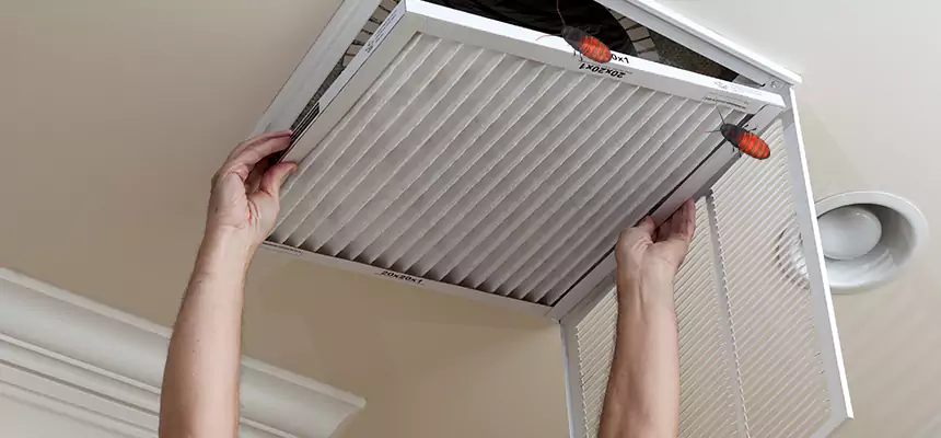 Our Insect Removal from Air Ducts Services in Bakersfield, CA