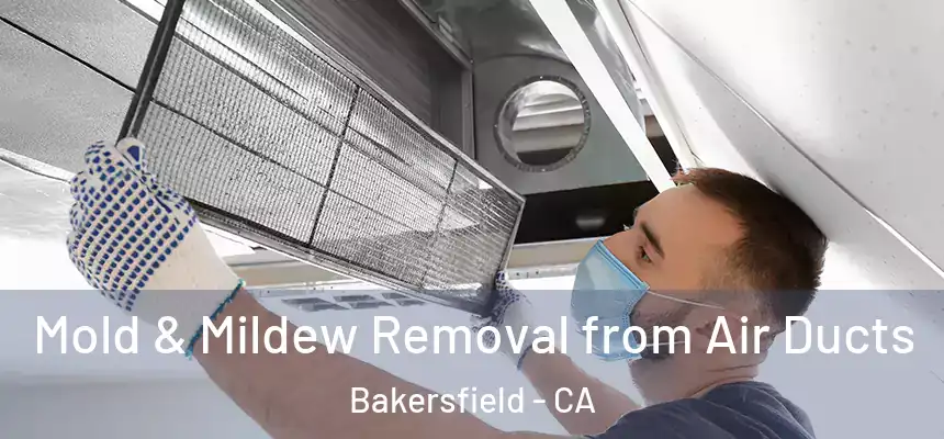  Mold & Mildew Removal from Air Ducts Bakersfield - CA