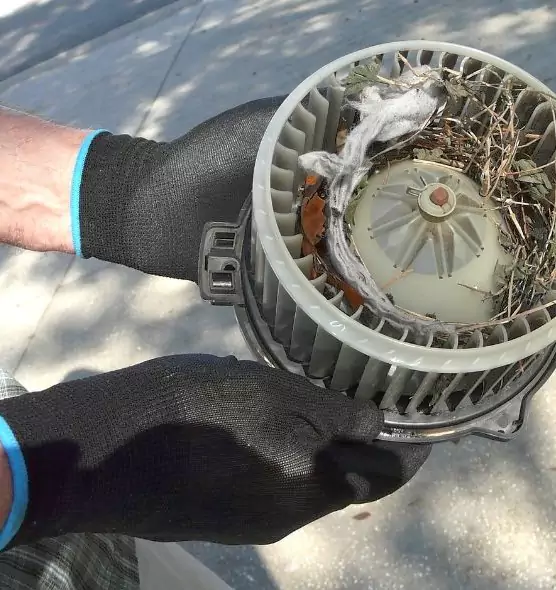 About Air Duct Mice Removal in Bakersfield, CA