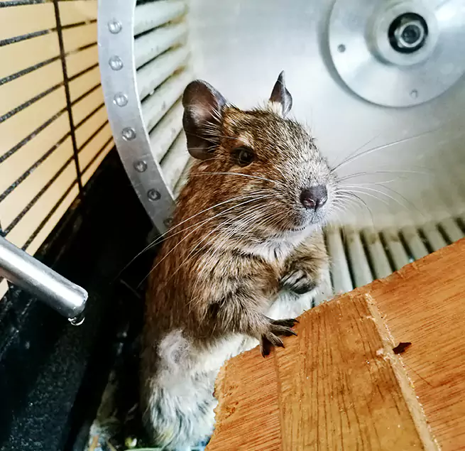 Why Homeowners & Businesses Trust Us Bakersfield, CA?