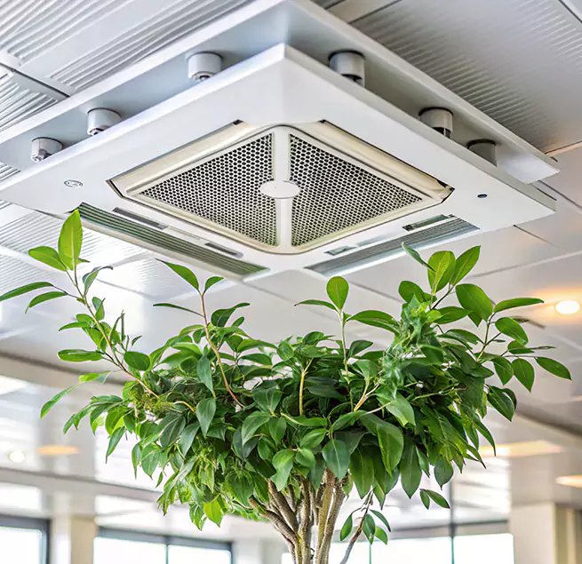 Why Homeowners & Businesses Trust Us in Bakersfield, CA